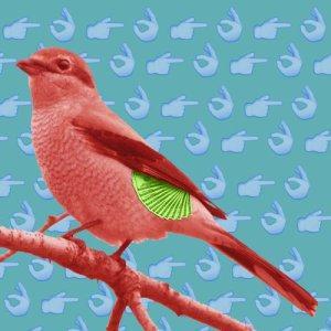 shrike-whore