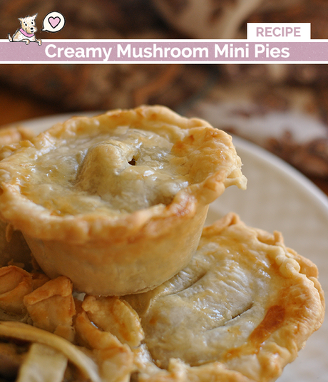 creamy-mushroom-pot-pies-recipe