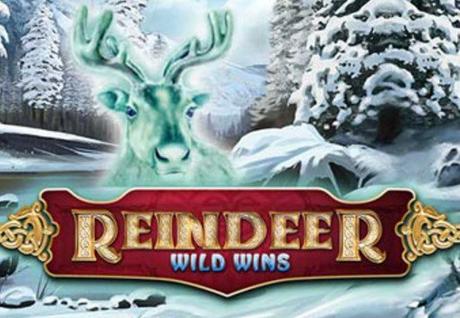 Reindeer Wild Wins