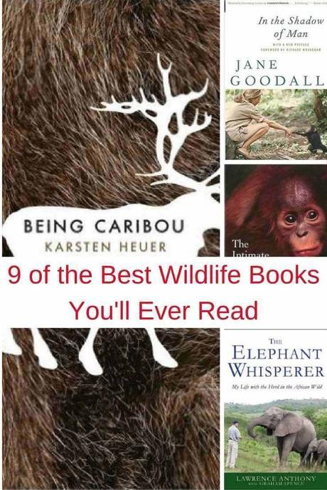 9 of the Best Wildlife Books You’ll Ever Read