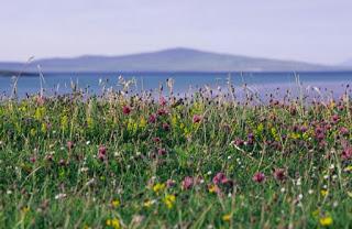 SNH puts Scottish machair on the map