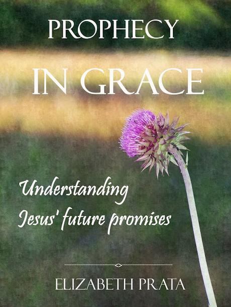 Announcing Publication of my new book: Prophecy In Grace