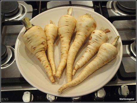 Parsnips - some very mixed results