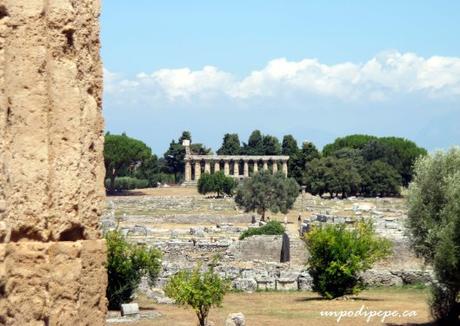 paestumforum