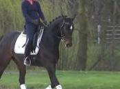 Diano Marina Mare 2011 Dressage