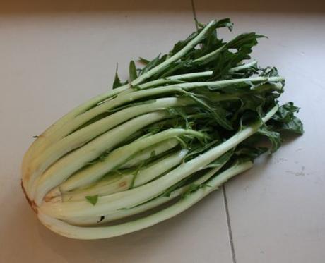 PUNTARELLE ALLA ROMANA