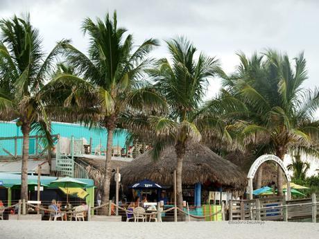 beach-venice-sharkys-web