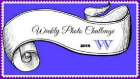 Badge photo 2016 WordPress.web