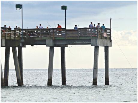beach-fishing-venice-ps-web