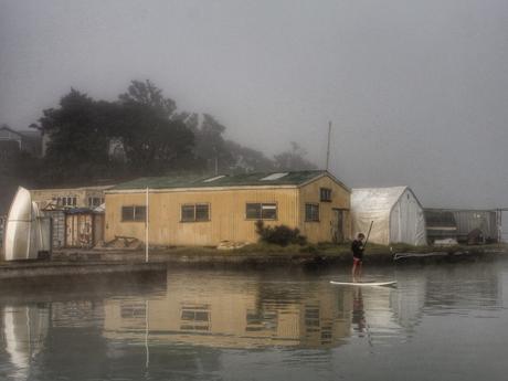 Stand-up paddle boarder, leaving Greenhithe, early morning. Image: Su Leslie, 2016
