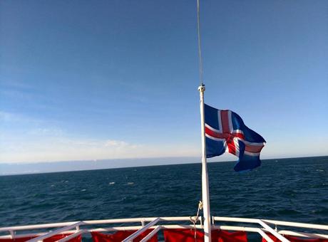 iceland-sailing-whale-watching