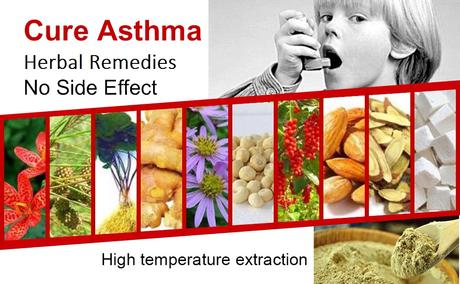 Asthma Herbal Supplements-Diet and Home Remedies