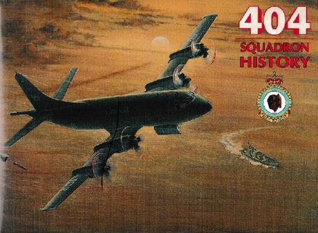 squadron404