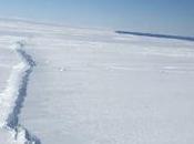 Study Finds Massive Collapse Sheets Antarctica Almost Inevitable
