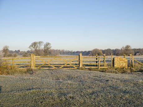 Frost covered gate
