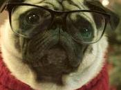 Battle Christmas Here's Winner!