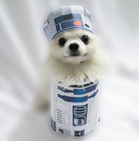 Dog Dressed as R2-D2