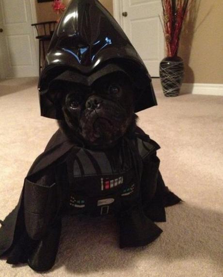 Dog Dressed as Darth Vader
