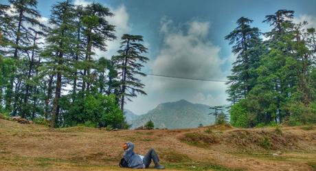 The Voice of the Traveler