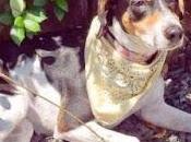 Mexican Airlines Launch Campaign Missing from Custody