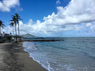 Adventures in the Caribbean: Hiking and Mountain Biking Nevis