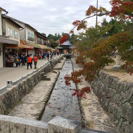 Islands of Japan: Miyajima