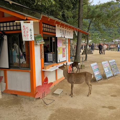 Islands of Japan: Miyajima