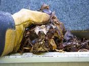 Reasons Your Roof Leaking