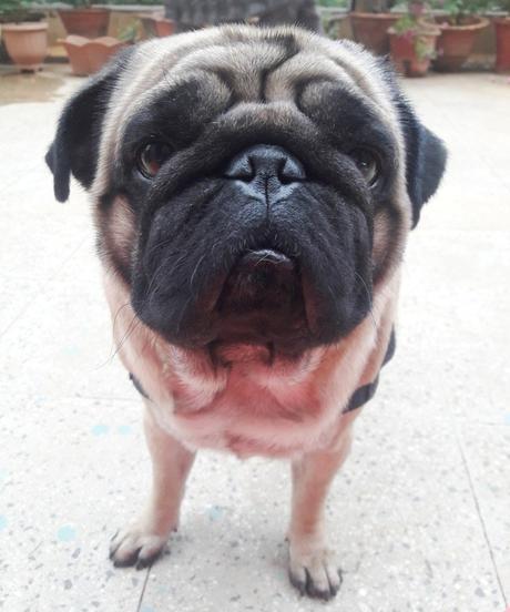 Baby’s First Friend: Episode 2