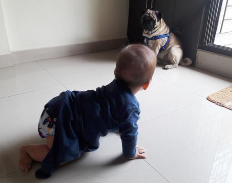 Baby’s First Friend: Episode 2 Baby’s First Friend: Episode 2