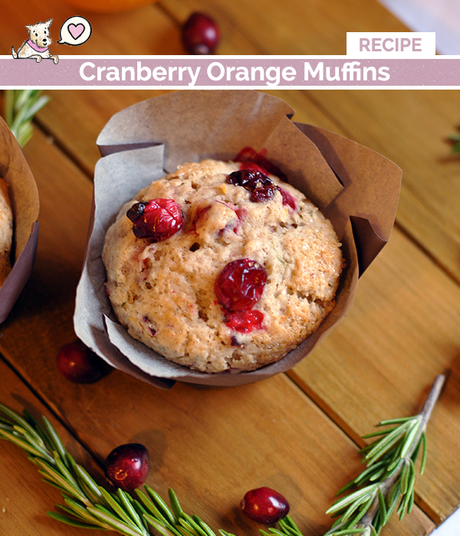 cranberry-orange-muffins-recipe