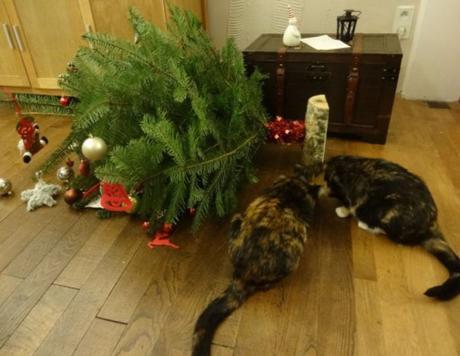 Cats Destroys Christmas Tree