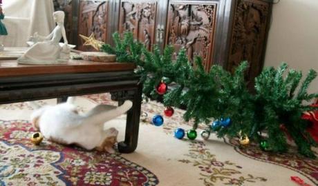 Cat Destroys Christmas Tree