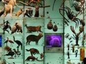 Mainstreaming Biodiversity: Real Solution Devastation Nature?