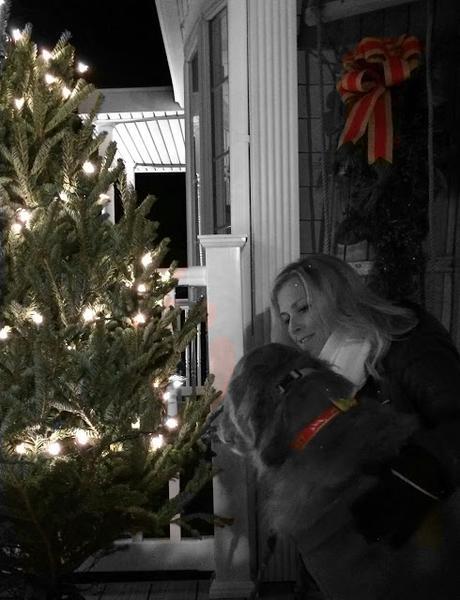 golden retriever dog decorating Christmas tree