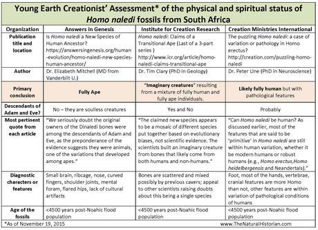 Creationist “debate” finally breaks out