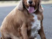 Millions Live Danger Obesity Solution Rocket Science Stephen Hawking