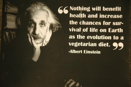 albert-einstein-vegetarian-quote