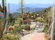 Amazing Unusual Tourist Attractions Monaco