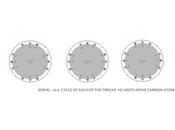 Unit Carbon Cycle Four Spinning Valences