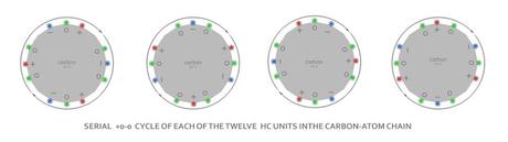 HC Unit - Carbon cycle - four spinning valences
