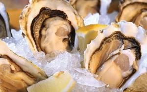 Take Away The Mouthwatering Dishes From HungryGoWhere oceans-of-seafood_20161118_4485