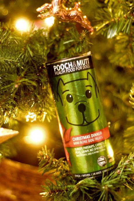 Milo’s First Christmas, some prep!