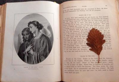 Sunday 11th December - Praise Ye The Lord!