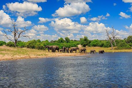 Child of the River by Irma Joubert