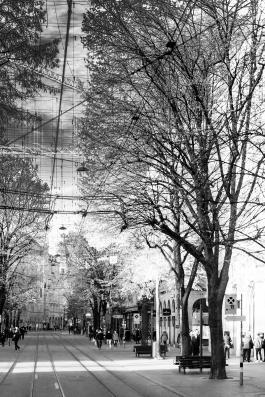 Wired _dsc8949