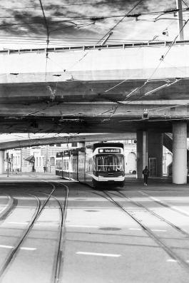 Wired _dsc8928