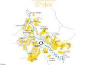 Find Mineral Acid Driven Chardonnay with #PureChablis