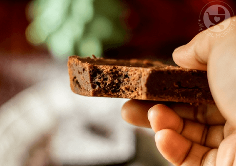 fudgy cocoa brownies