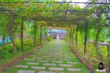 The Farmhouse entrance in Aloguinsan Cebu | Blushing Geek